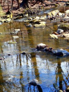 Stony Run Stony Run